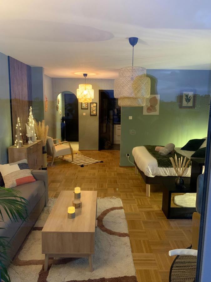 Appartement Bien Placée Et Vue Dégagée A Estrasburgo Exterior foto